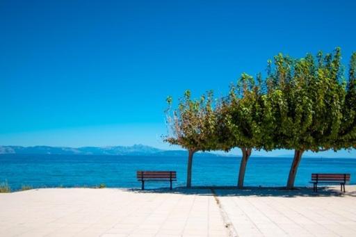 Lavish & Spacious Apt With Stunning Seaview, 10 Min Ath Airport Artemida  Zewnętrze zdjęcie